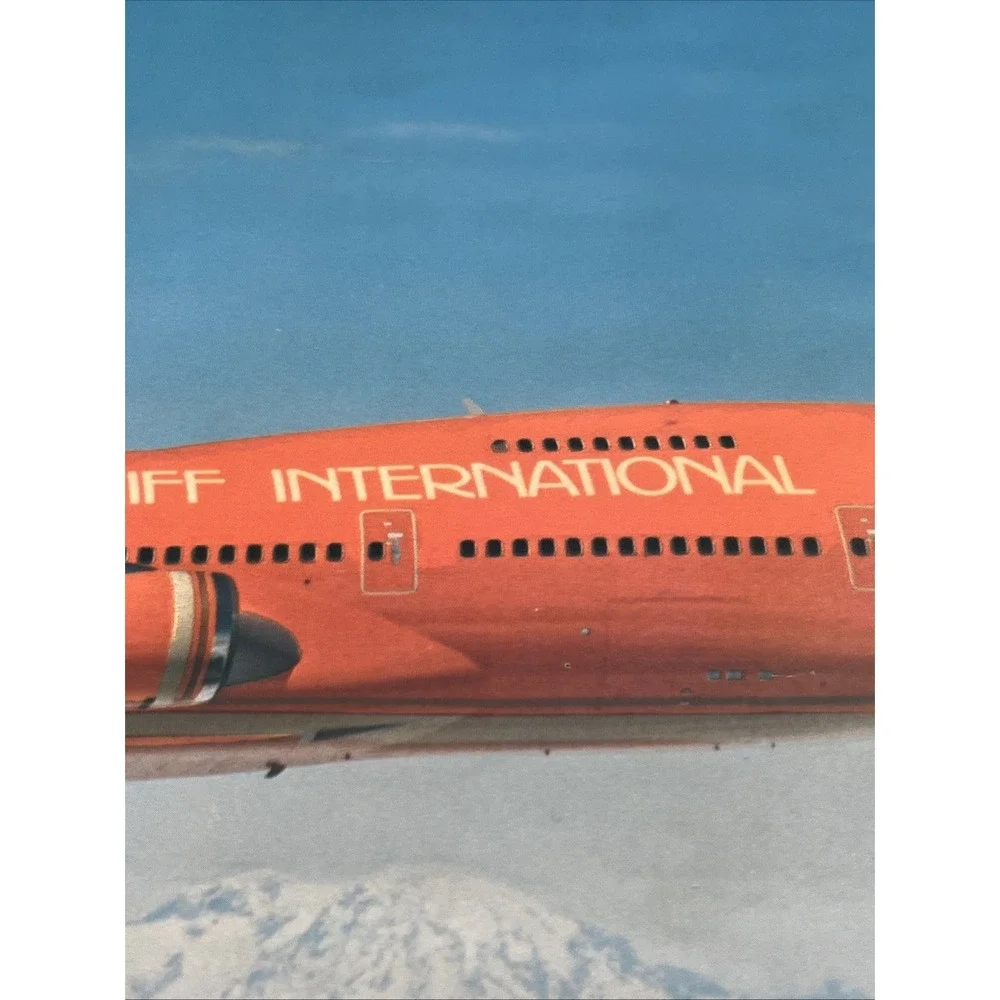 VTG Braniff Boeing 747 N605BN Orange Plane 18x24